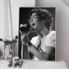 Sb3a09fc3bf3a46009010537883ffdb058 - Harry Styles UK Store