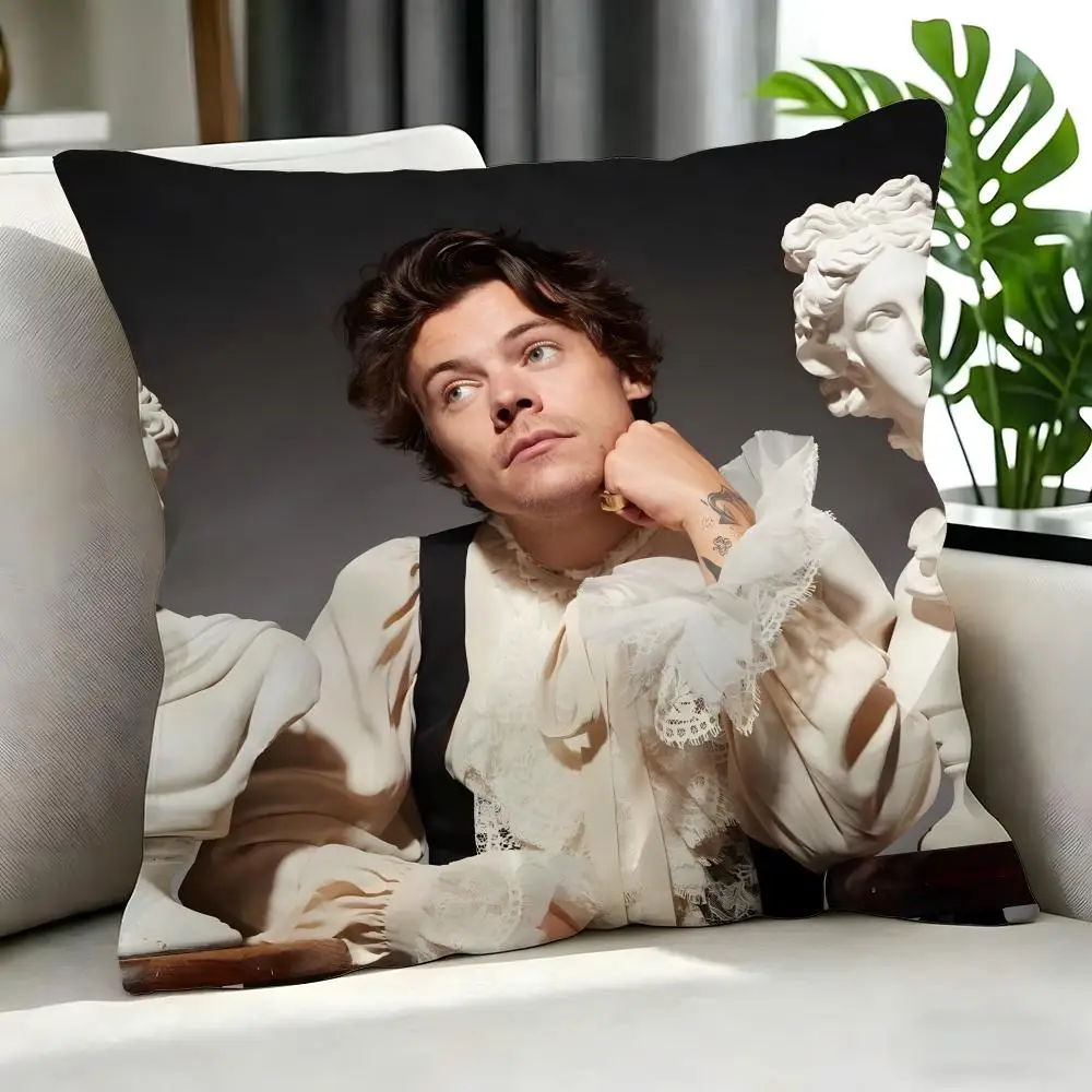 Stylish Harry Styles Bedroom Pillow
