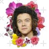 flat750x075f pad750x1000f8f8f8.u2 15 - Harry Styles UK Store